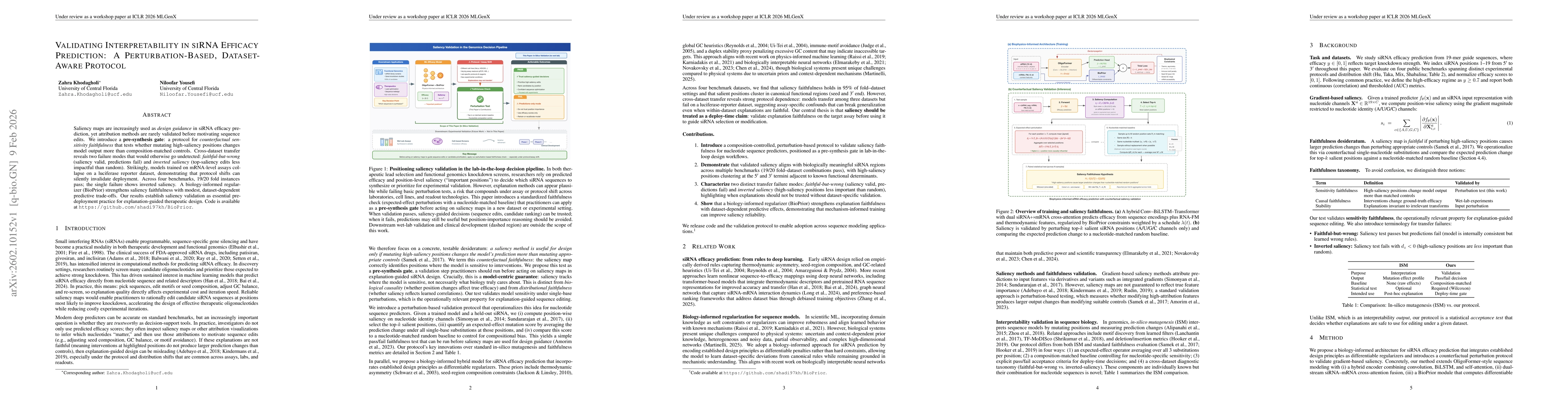 Thumbnail for Validating Interpretability in siRNA Efficacy Prediction: A Perturbation-Based, Dataset-Aware Protocol