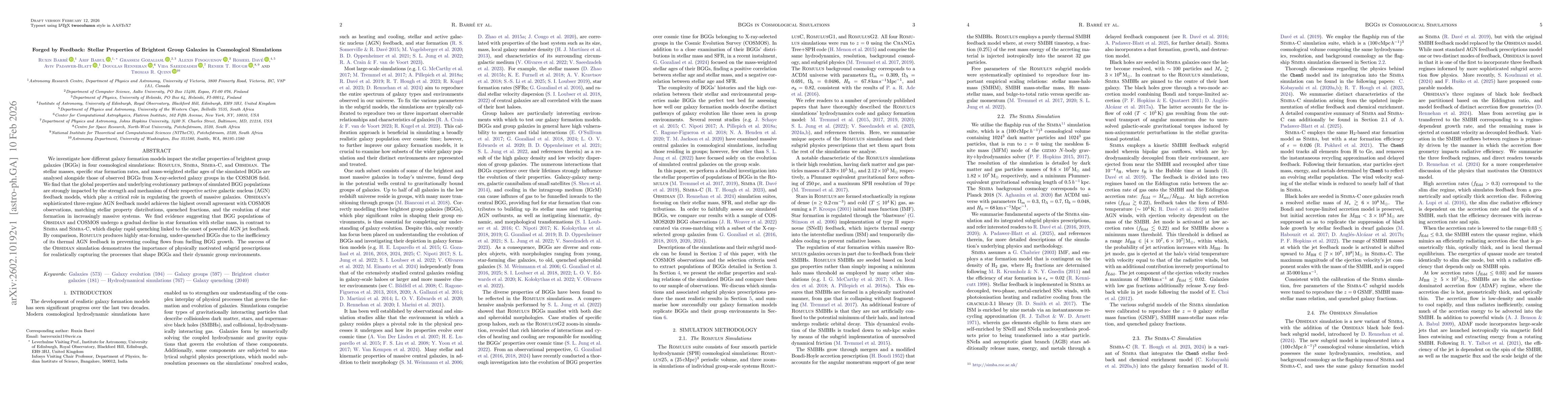 Thumbnail for Forged by Feedback: Stellar Properties of Brightest Group Galaxies in Cosmological Simulations
