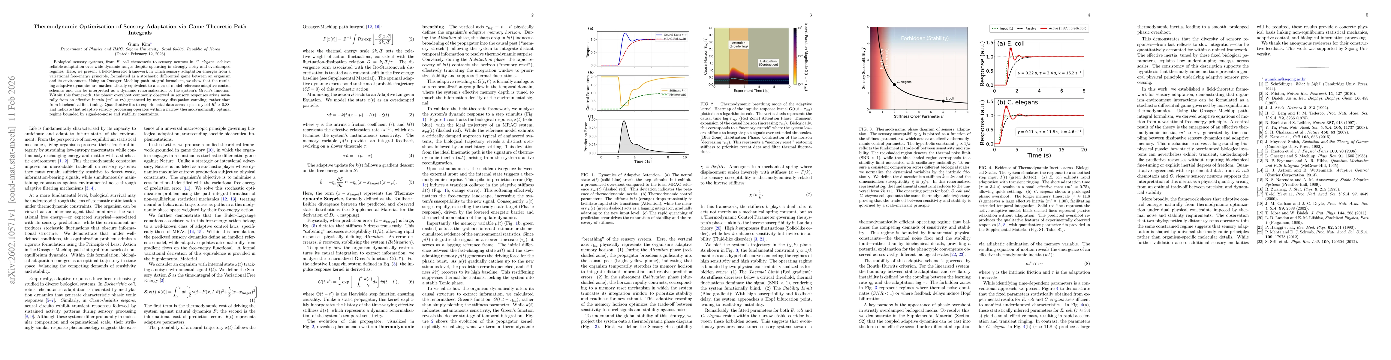 Thumbnail for Thermodynamic Optimization of Sensory Adaptation via Game-Theoretic Path Integrals