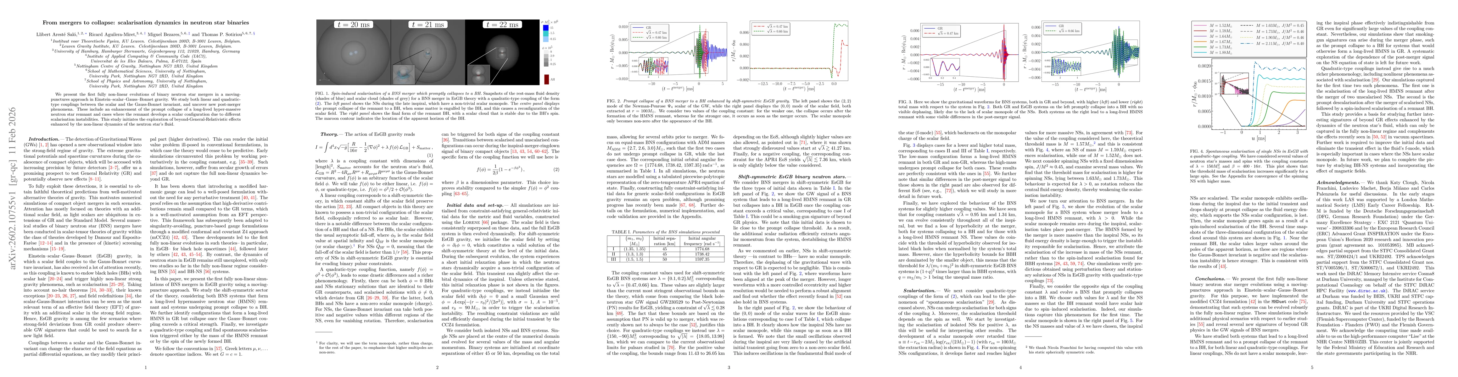 Thumbnail for From mergers to collapse: scalarisation dynamics in neutron star binaries