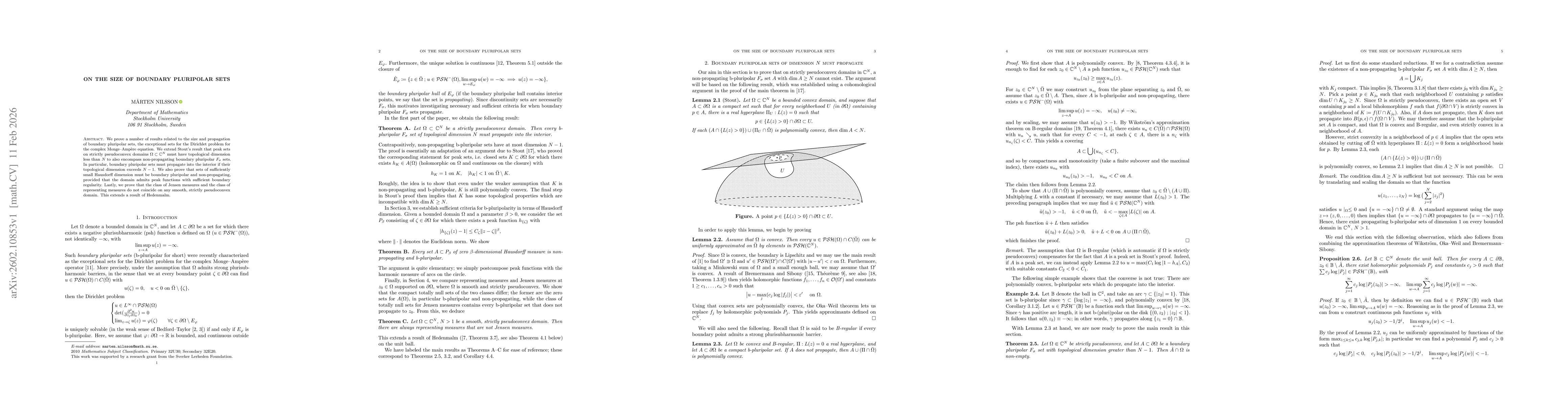 Thumbnail for On the size of boundary pluripolar sets