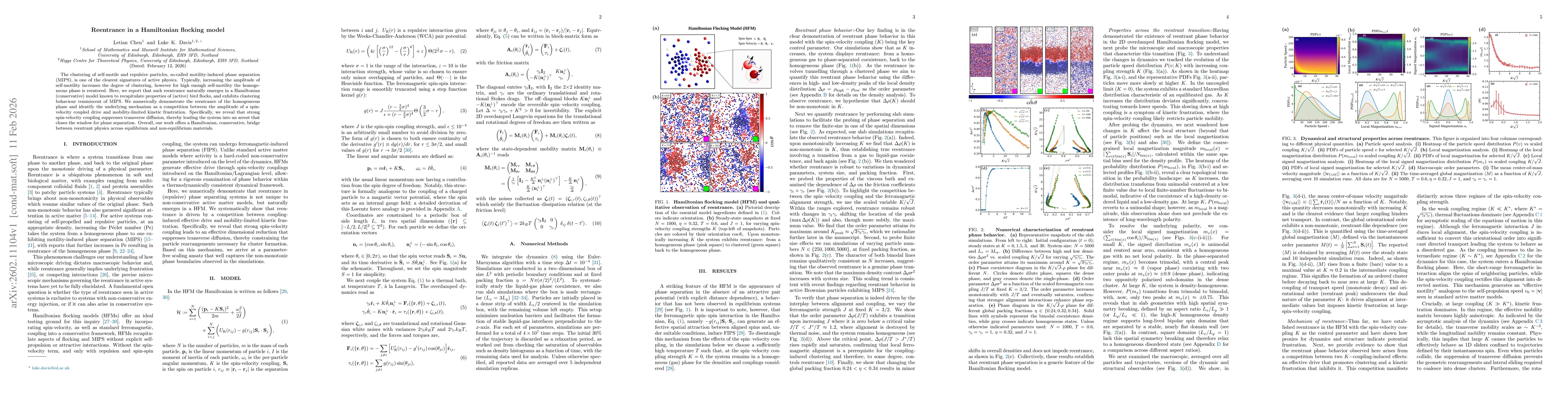 Thumbnail for Reentrance in a Hamiltonian flocking model