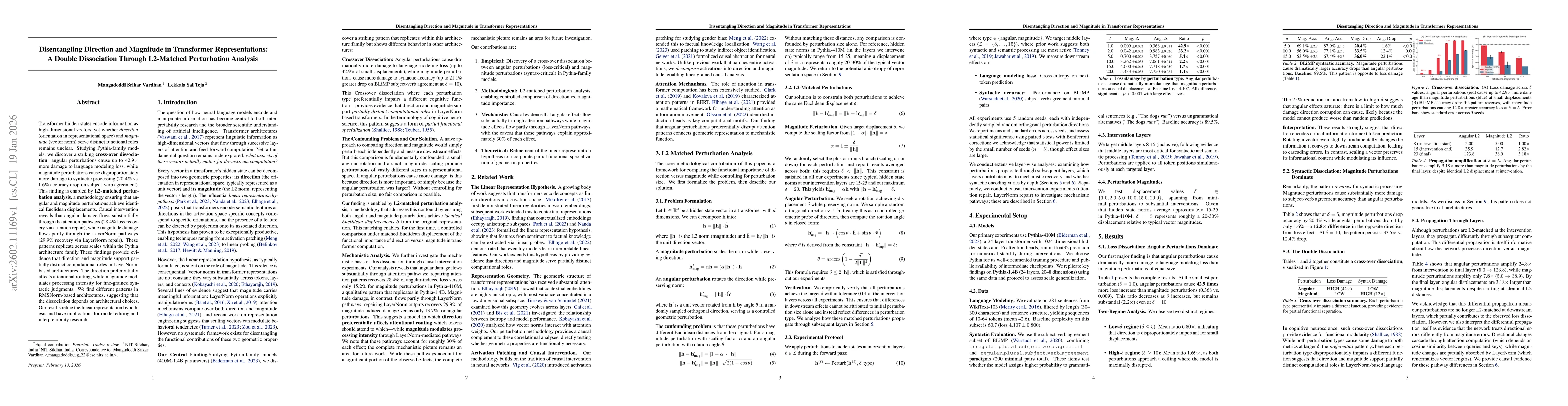 Thumbnail for Disentangling Direction and Magnitude in Transformer Representations: A Double Dissociation Through L2-Matched Perturbation Analysis