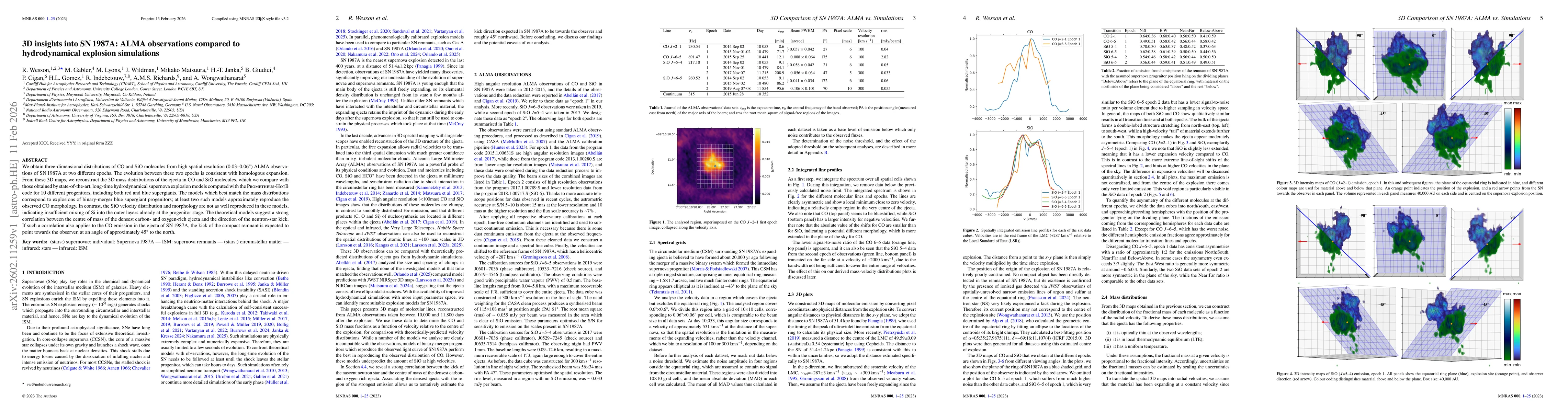 Thumbnail for 3D insights into SN 1987A: ALMA observations compared to hydrodynamical explosion simulations