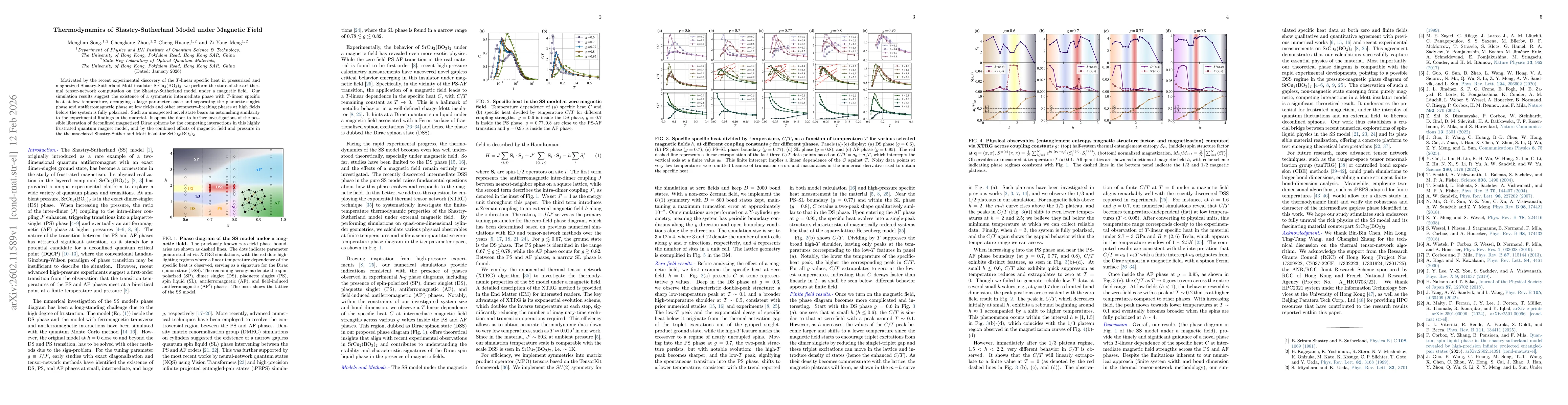 Thumbnail for Thermodynamics of Shastry-Sutherland Model under Magnetic Field