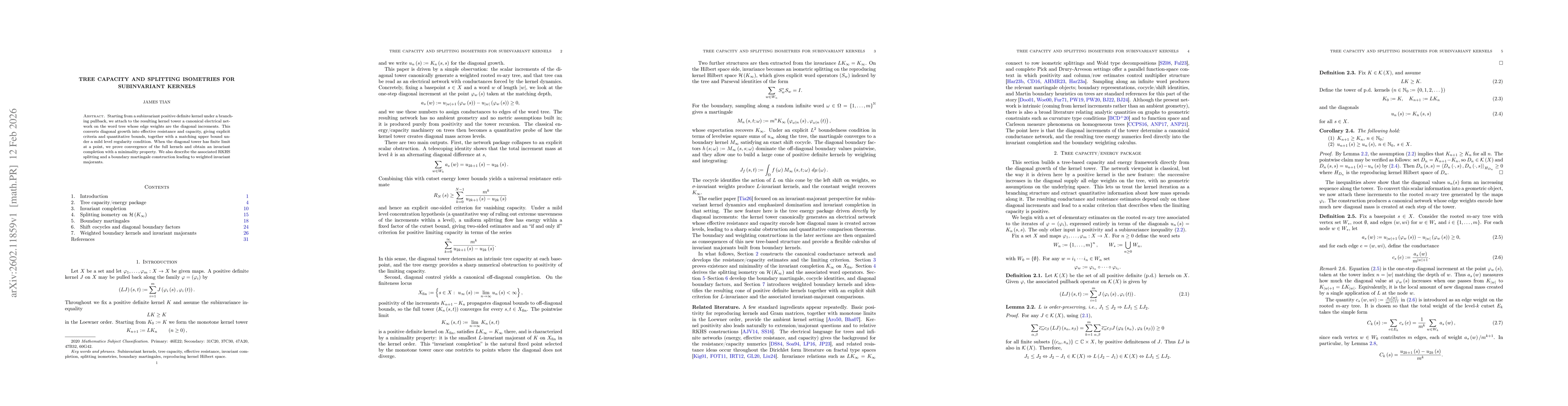Thumbnail for Tree Capacity and Splitting Isometries for Subinvariant Kernels