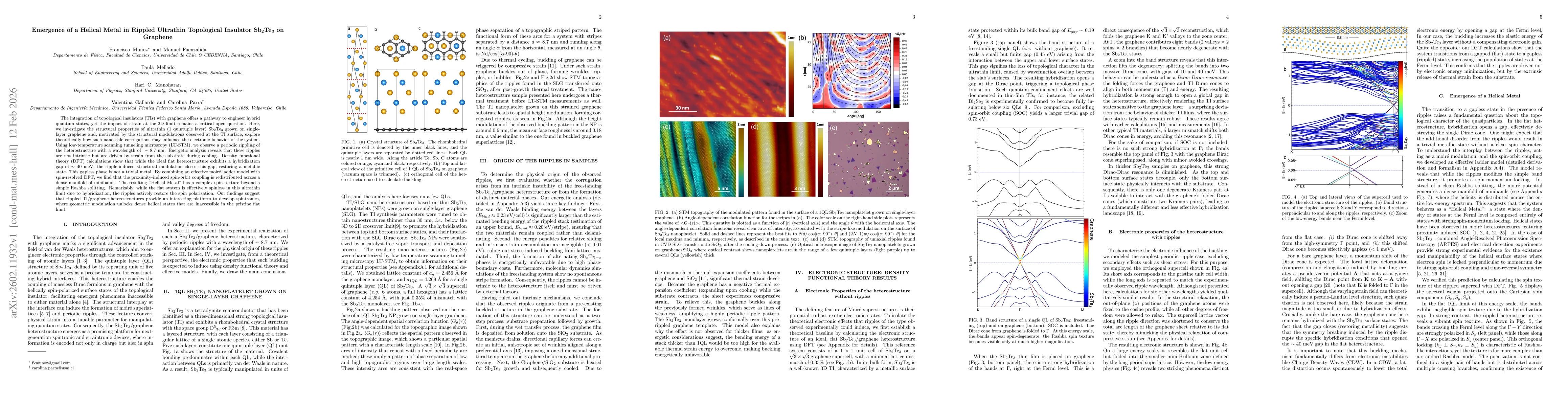 Thumbnail for Emergence of a Helical Metal in Rippled Ultrathin Topological Insulator Sb\textsubscript{2}Te\textsubscript{3} on Graphene