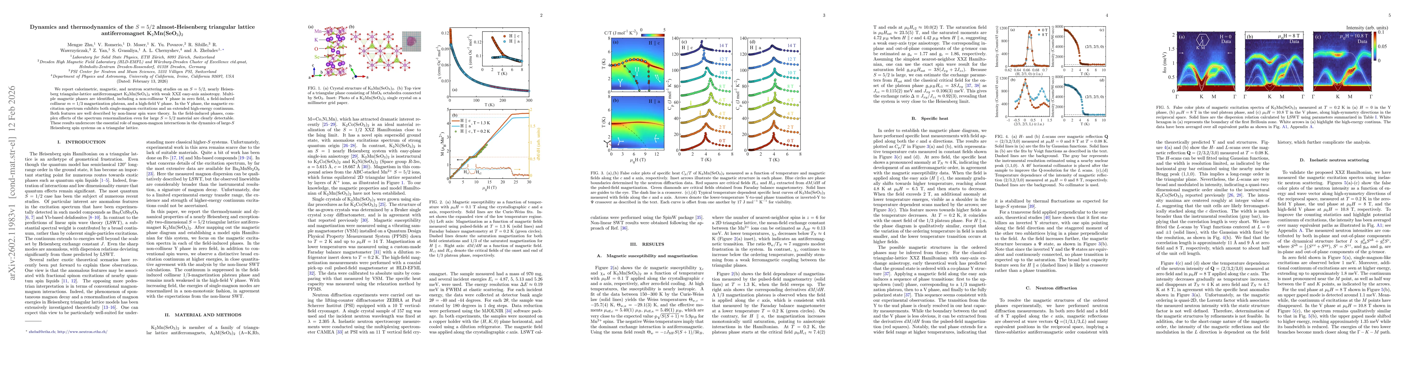 Thumbnail for Dynamics and thermodynamics of the S = 5/2 almost-Heisenberg triangular lattice antiferromagnet K2Mn(SeO3)2