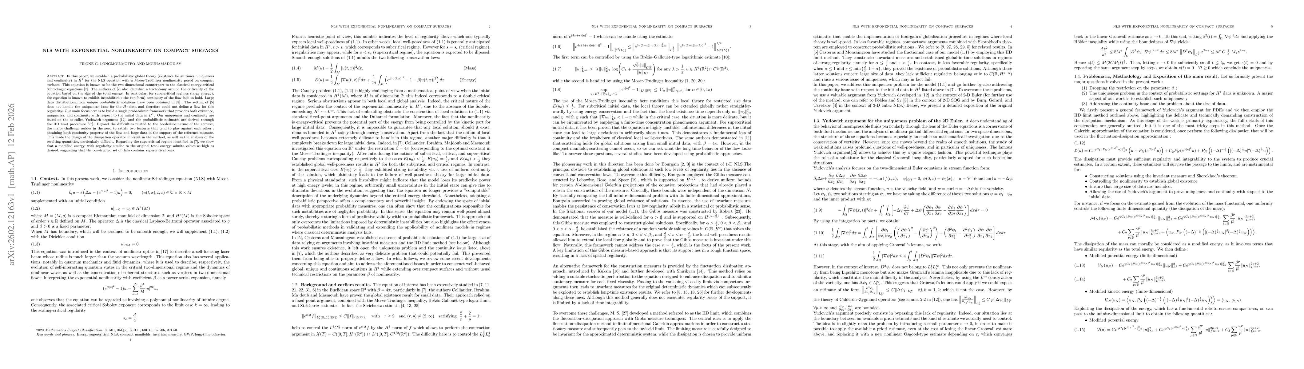 Thumbnail for NLS with exponential nonlinearity on compact surfaces