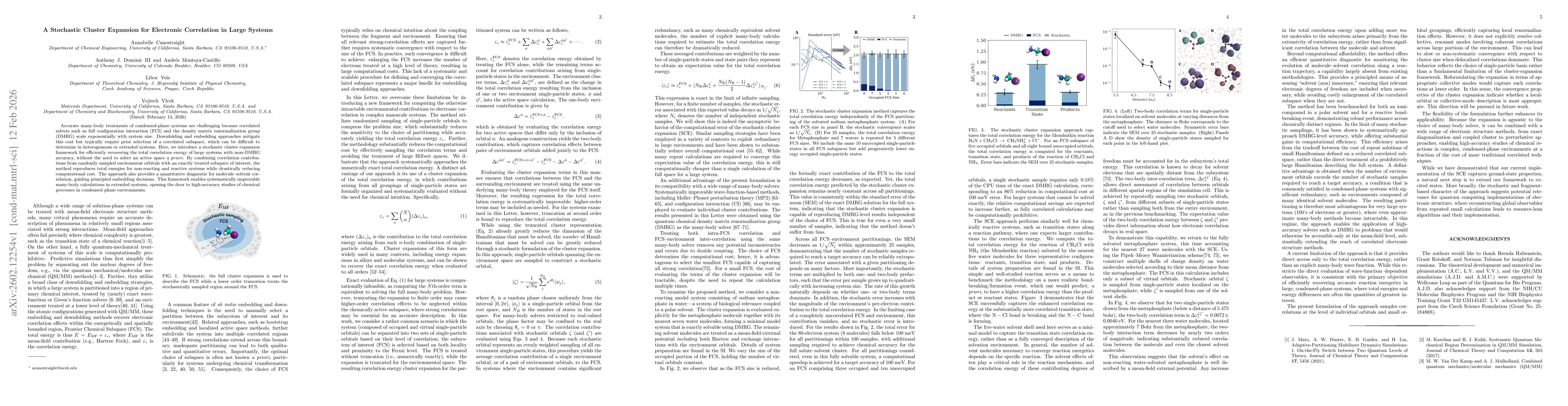 Thumbnail for A Stochastic Cluster Expansion for Electronic Correlation in Large Systems