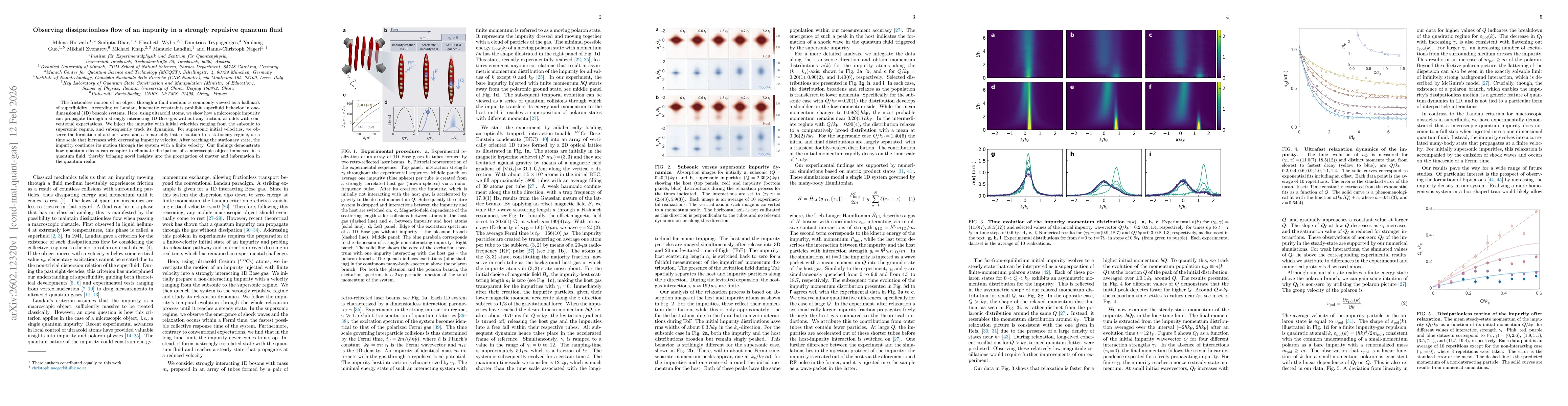 Thumbnail for Observing dissipationless flow of an impurity in a strongly repulsive quantum fluid