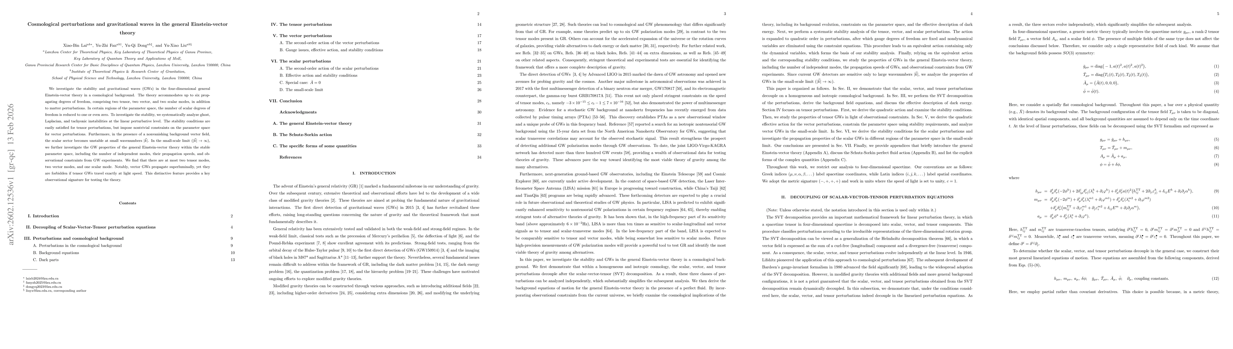 Thumbnail for Cosmological perturbations and gravitational waves in the general Einstein-vector theory