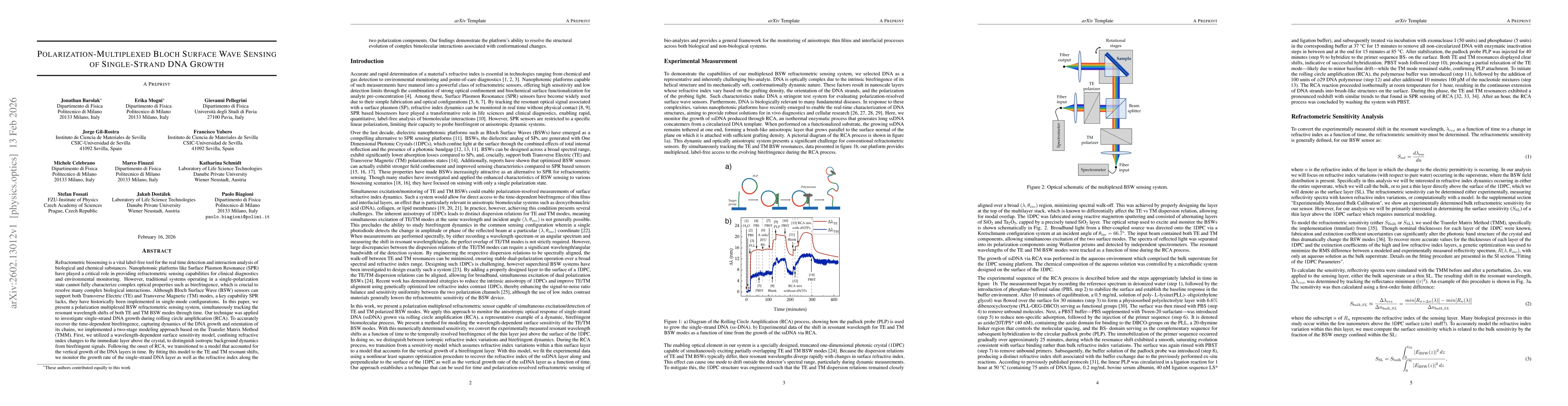 Thumbnail for Polarization-Multiplexed Bloch Surface Wave Sensing of Single-Strand DNA Growth