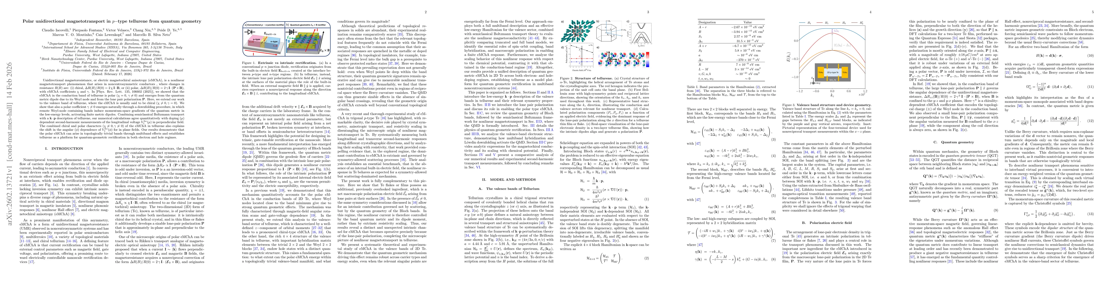 Thumbnail for Polar unidirectional magnetotransport in $p-$type tellurene from quantum geometry