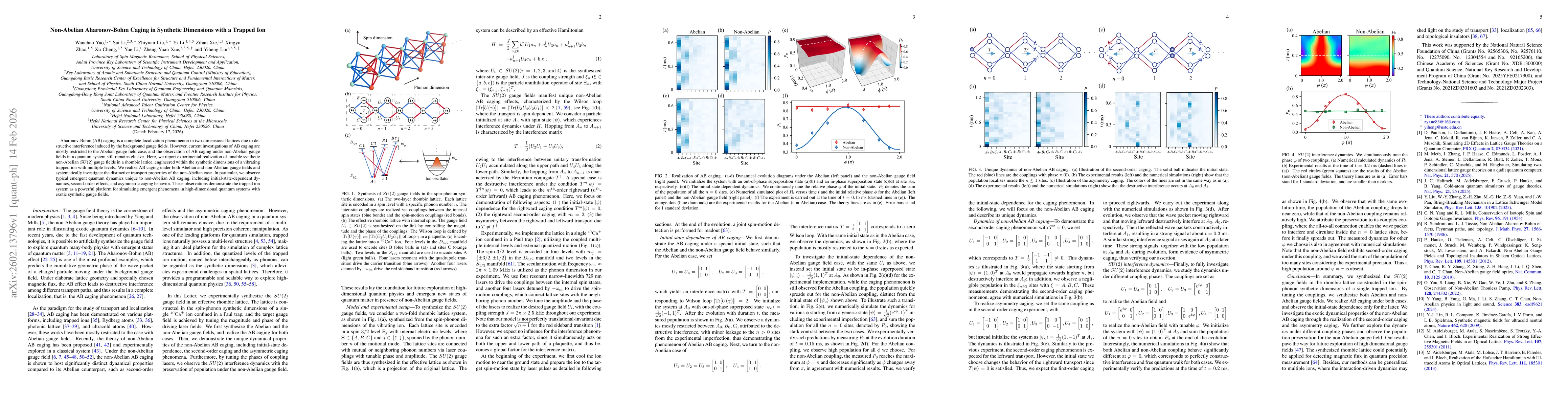 Thumbnail for Non-Abelian Aharonov-Bohm Caging in Synthetic Dimensions with a Trapped Ion