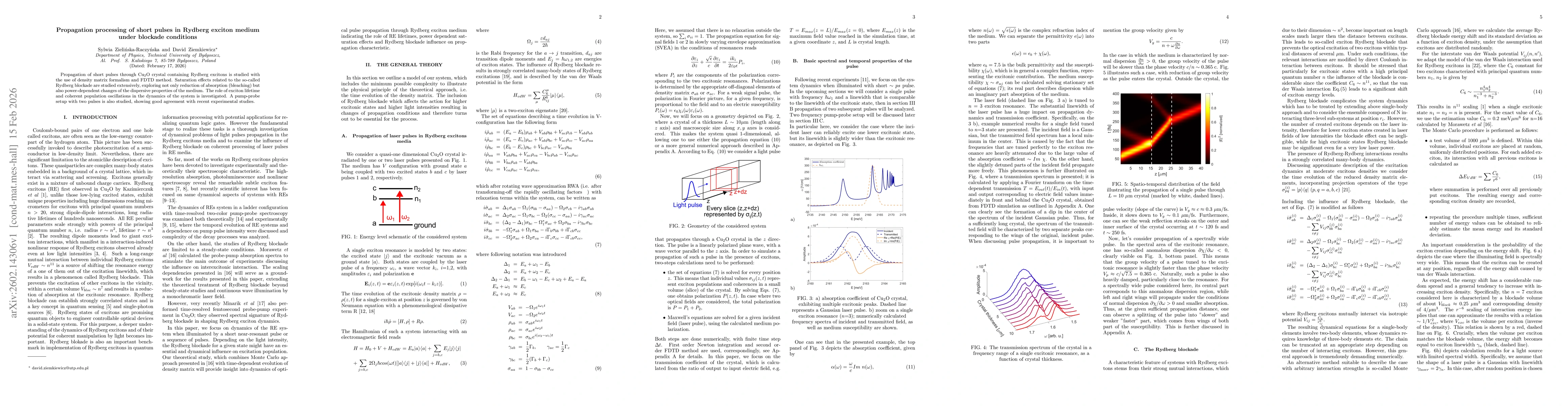 Thumbnail for Propagation processing of short pulses in Rydberg exciton medium under blockade conditions