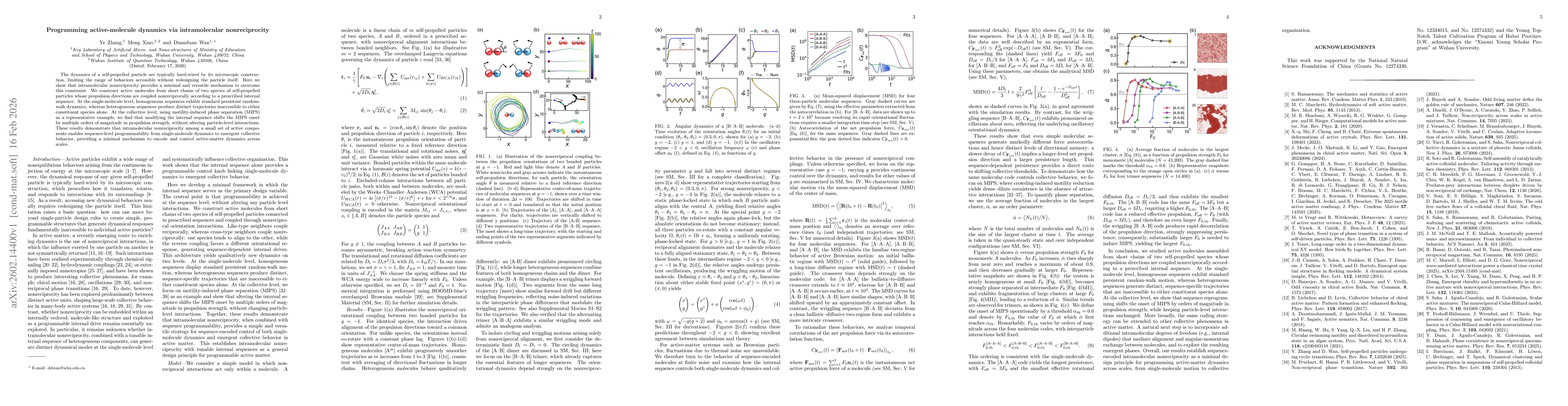 Thumbnail for Programming active-molecule dynamics via intramolecular nonreciprocity
