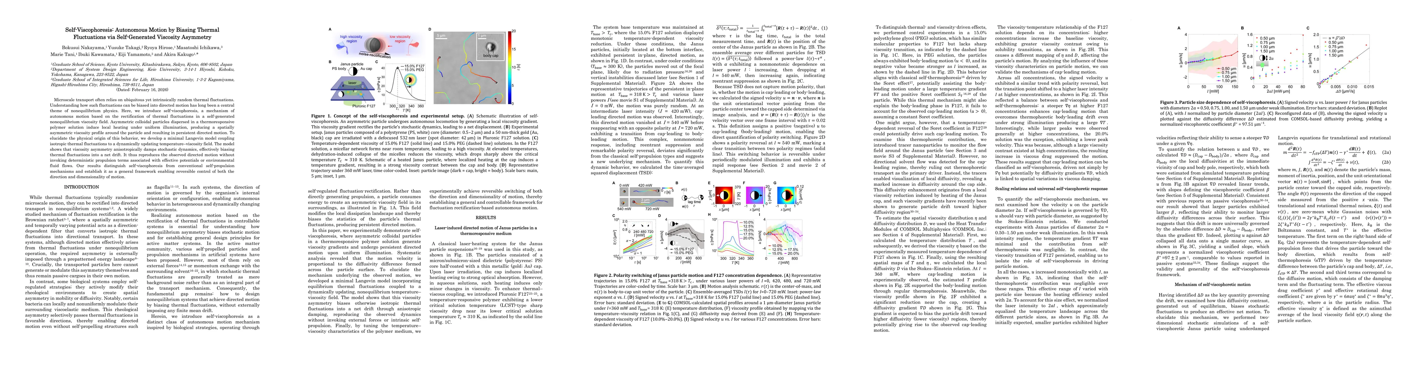 Thumbnail for Self-Viscophoresis: Autonomous Motion by Biasing Thermal Fluctuations via Self-Generated Viscosity Asymmetry