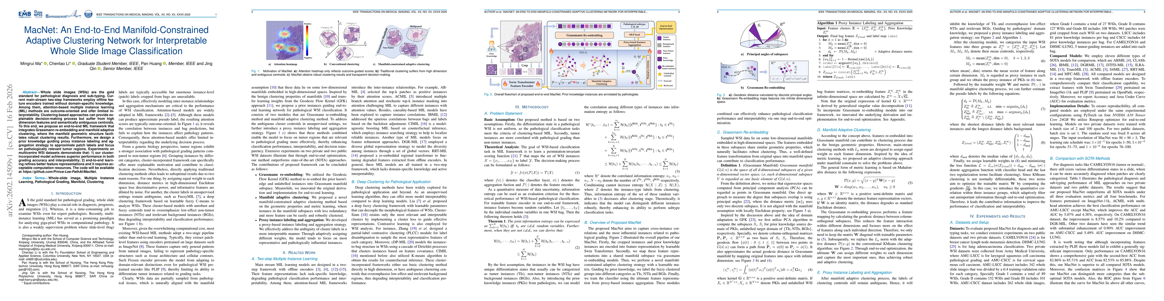 Thumbnail for MacNet: An End-to-End Manifold-Constrained Adaptive Clustering Network for Interpretable Whole Slide Image Classification