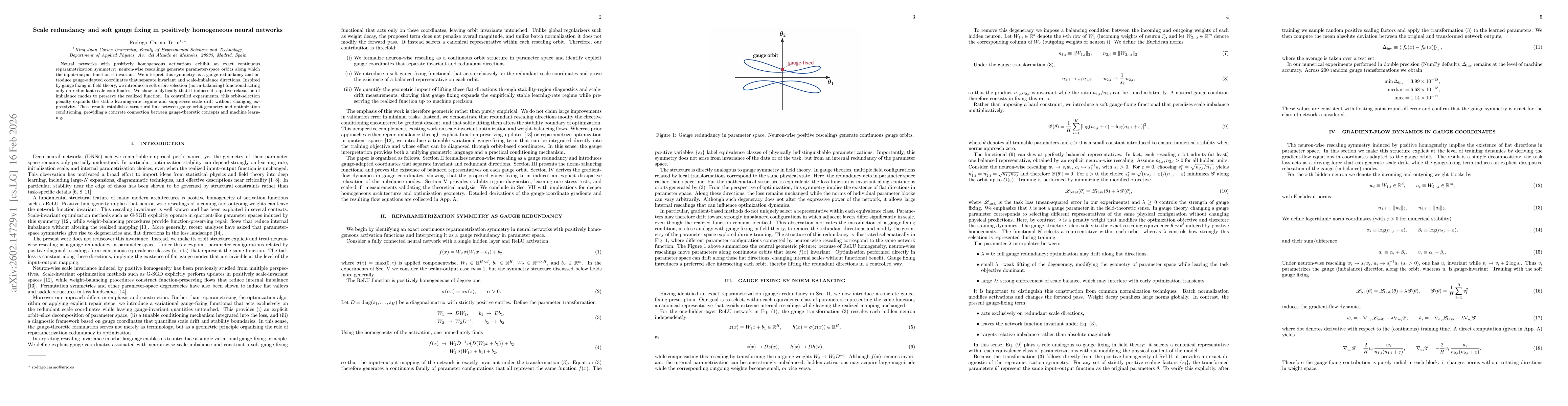Thumbnail for Scale redundancy and soft gauge fixing in positively homogeneous neural networks