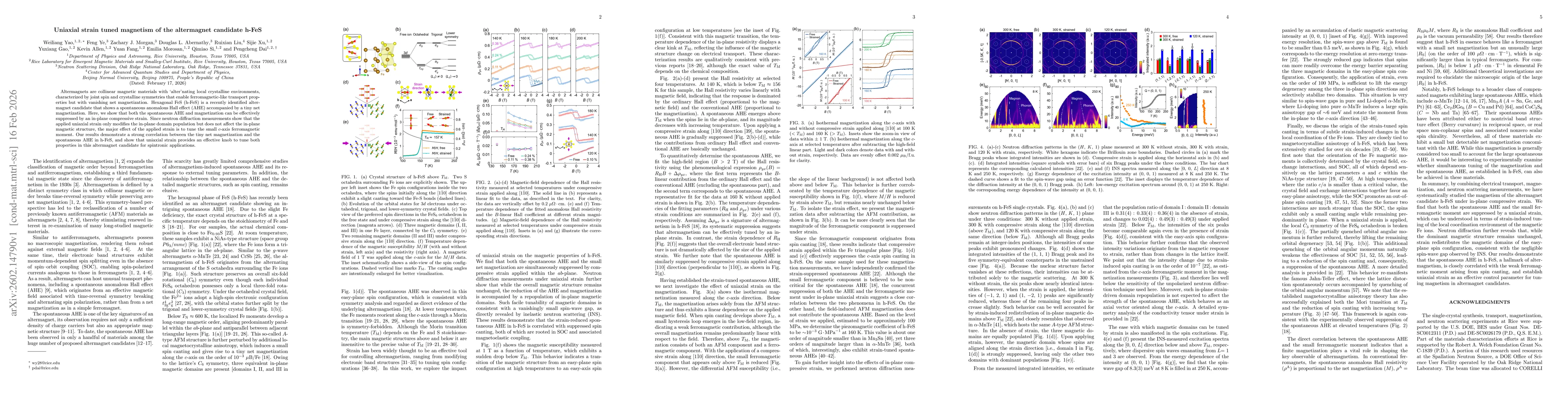 Thumbnail for Uniaxial strain tuned magnetism of the altermagnet candidate h-FeS