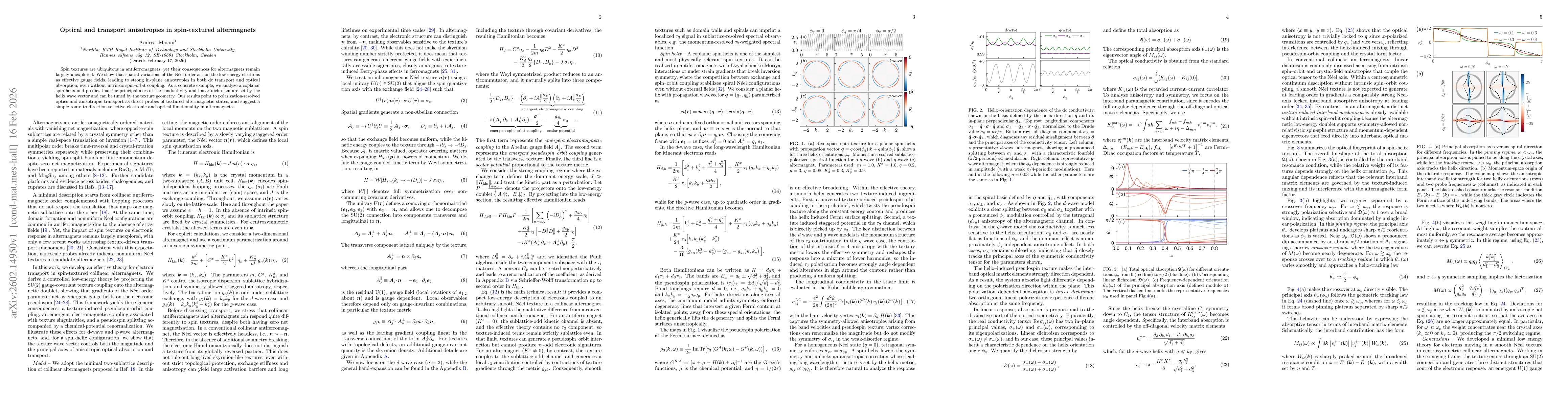 Thumbnail for Optical and transport anisotropies in spin-textured altermagnets