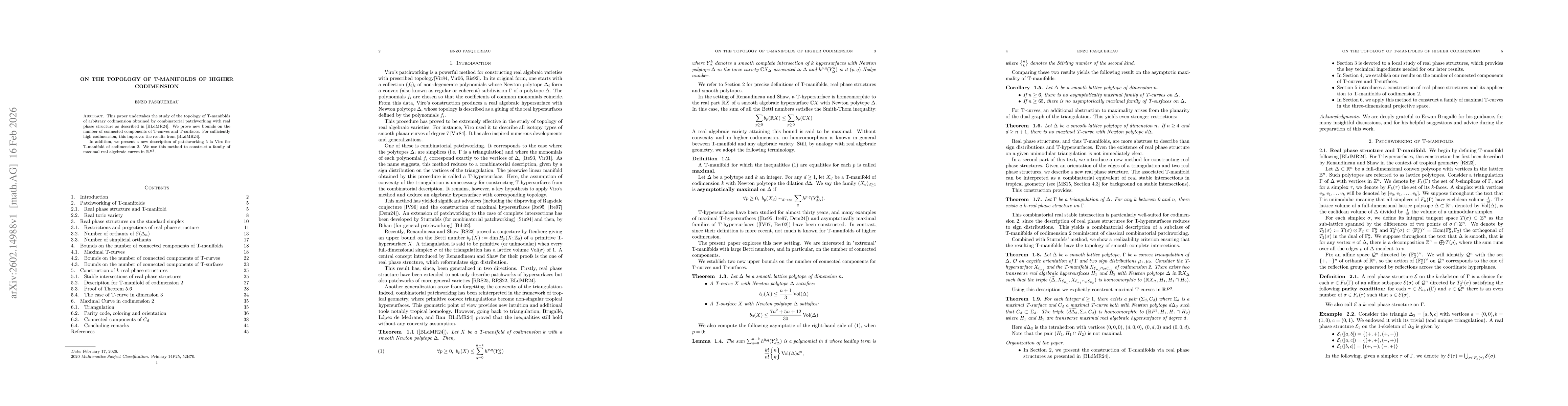 Thumbnail for On the Topology of T-manifolds of Higher Codimension