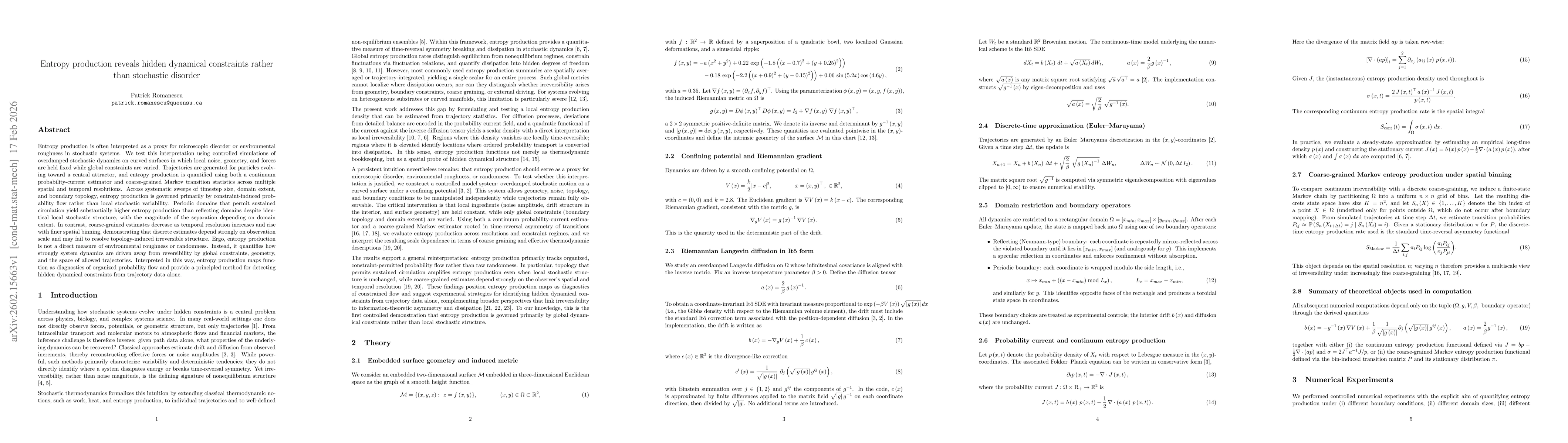 Thumbnail for Entropy production reveals hidden dynamical constraints rather than stochastic disorder