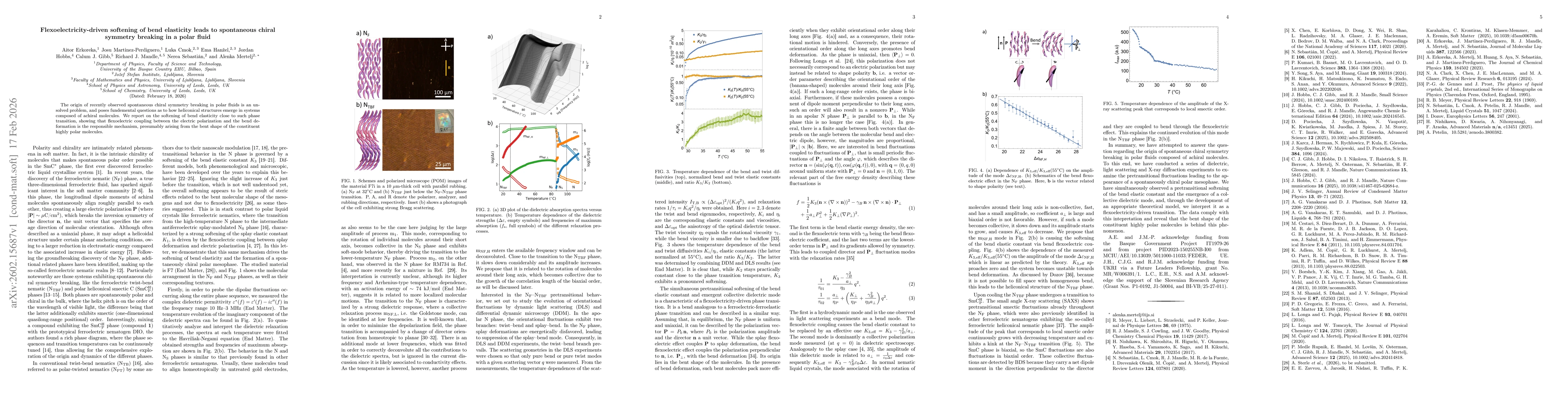 Thumbnail for Flexoelectricity-driven softening of bend elasticity leads to spontaneous chiral symmetry breaking in a polar fluid