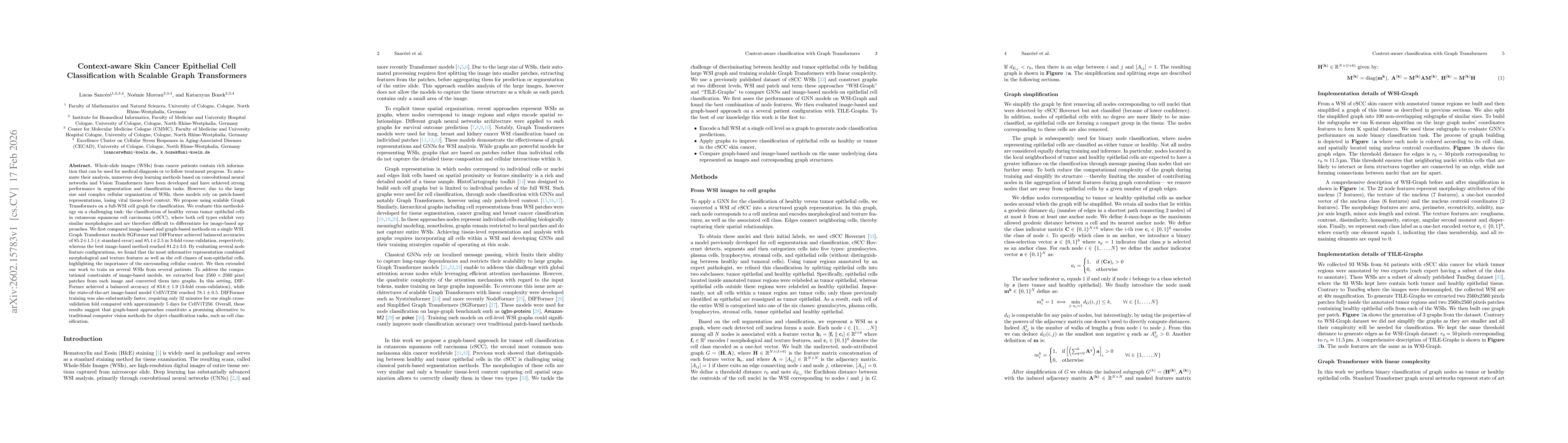 Thumbnail for Context-aware Skin Cancer Epithelial Cell Classification with Scalable Graph Transformers