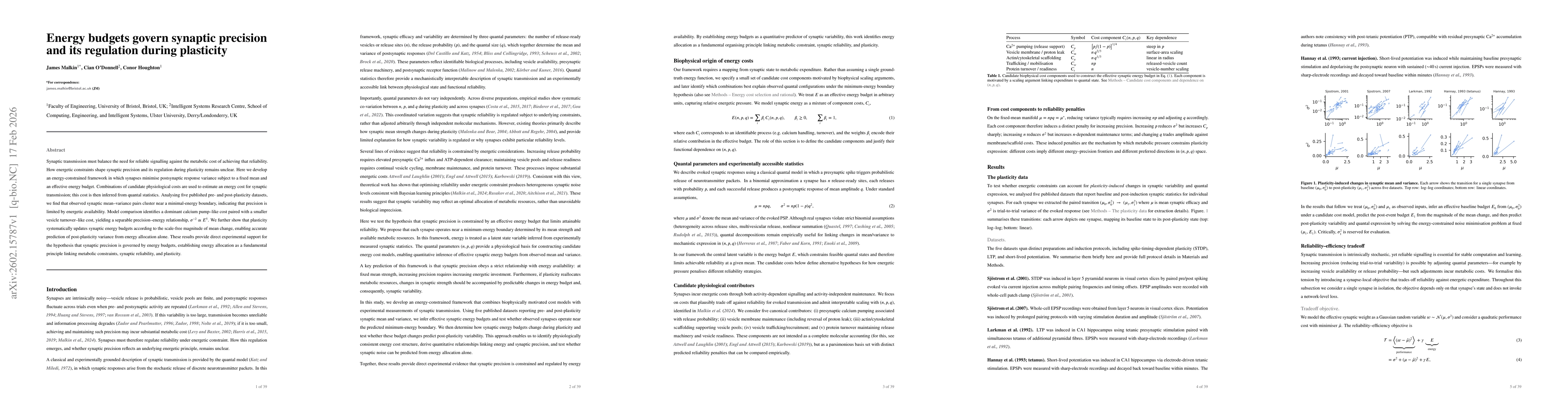 Thumbnail for Energy budgets govern synaptic precision and its regulation during plasticity