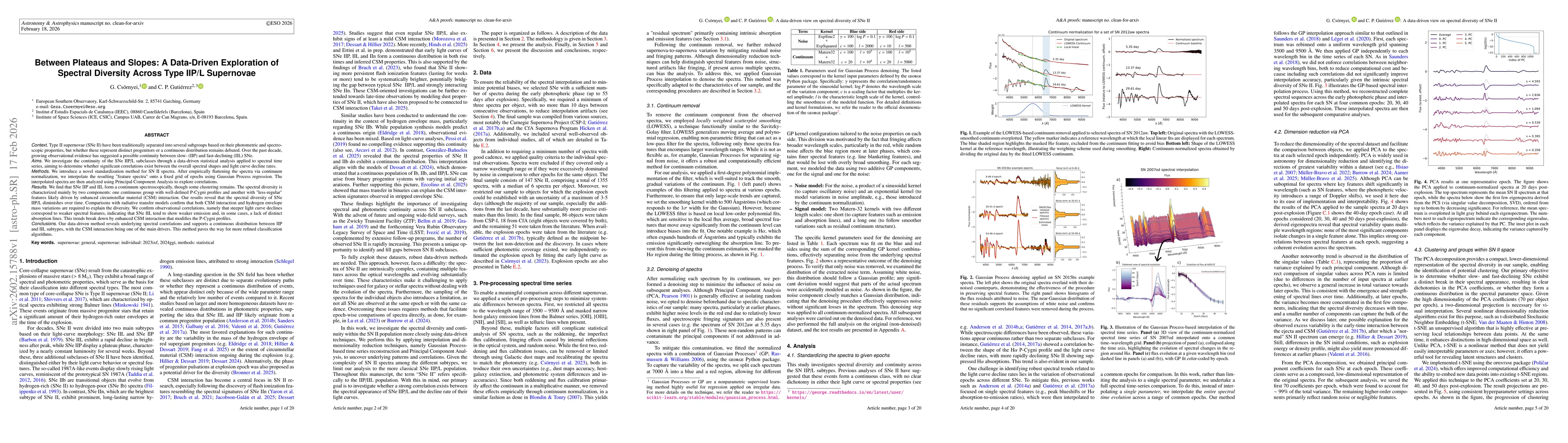 Thumbnail for Between Plateaus and Slopes: A Data-Driven Exploration of Spectral Diversity Across Type IIP/L Supernovae