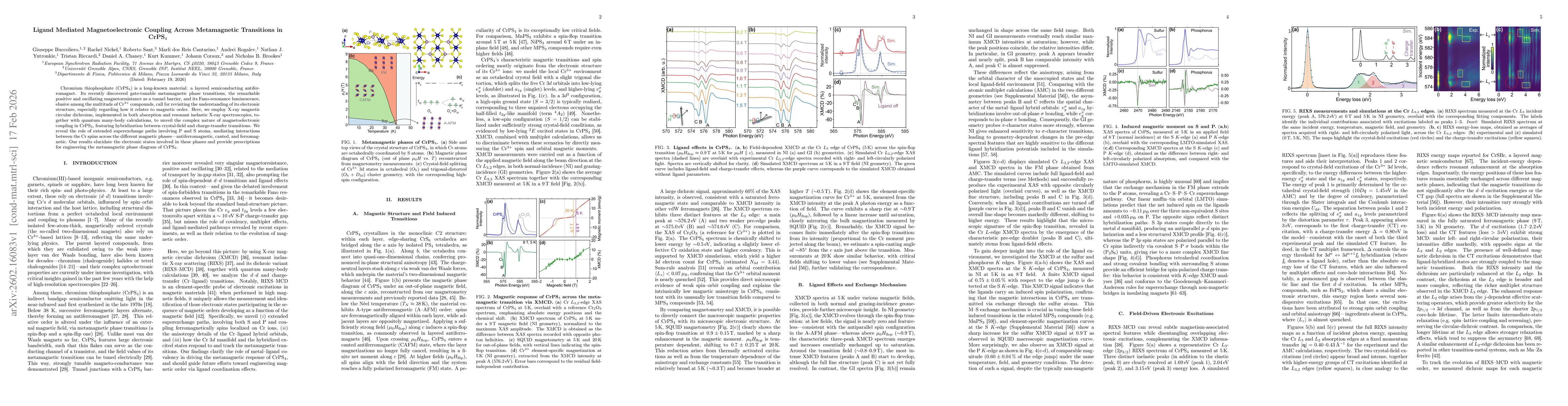 Thumbnail for Ligand Mediated Magnetoelectronic Coupling Across Metamagnetic Transitions in CrPS4