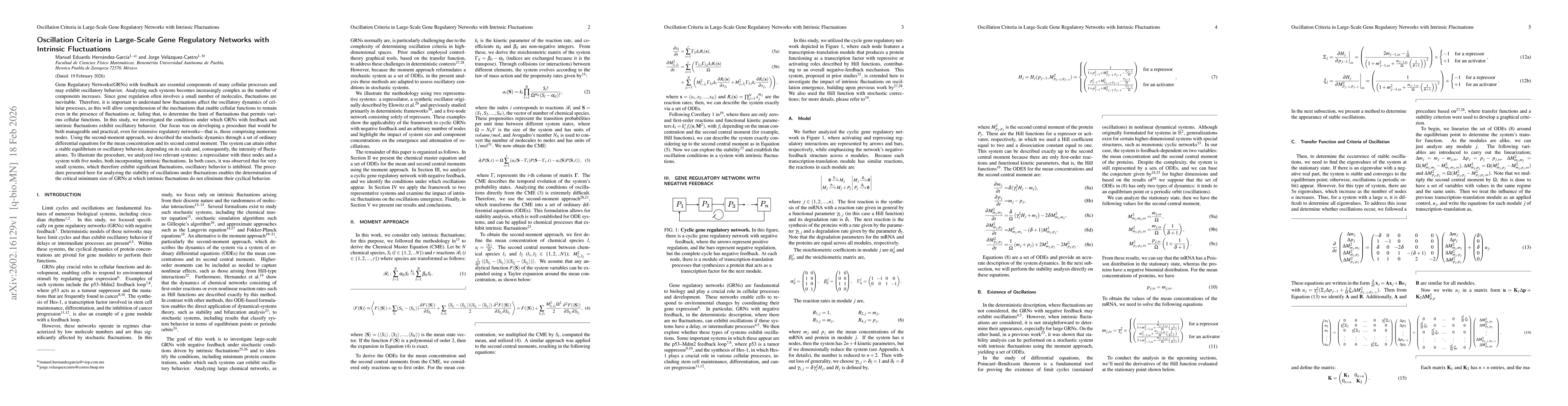 Thumbnail for Oscillation Criteria in Large-Scale Gene Regulatory Networks with Intrinsic Fluctuations