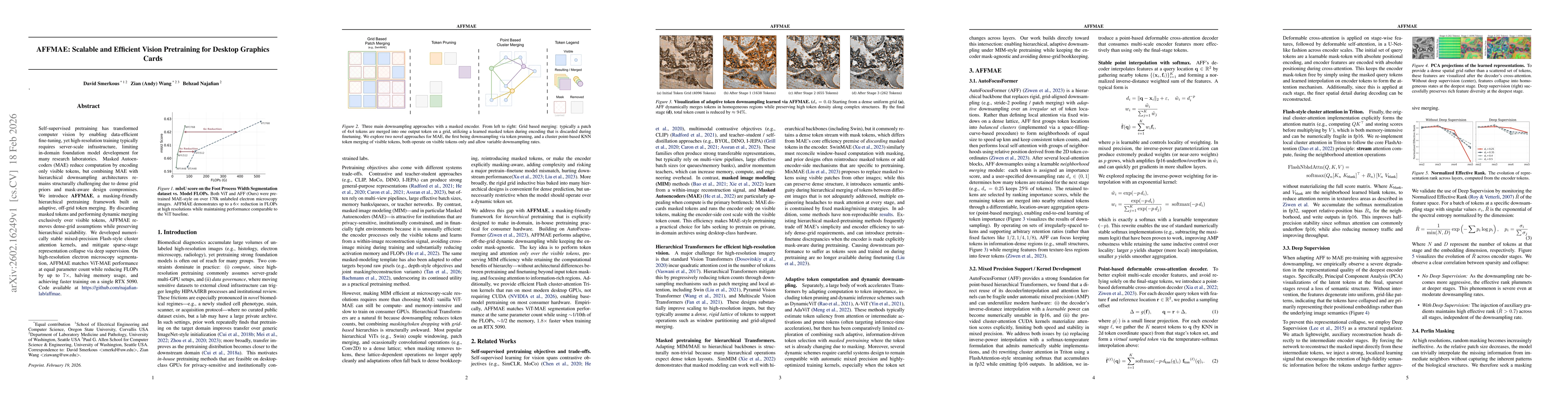 Thumbnail for AFFMAE: Scalable and Efficient Vision Pretraining for Desktop Graphics Cards