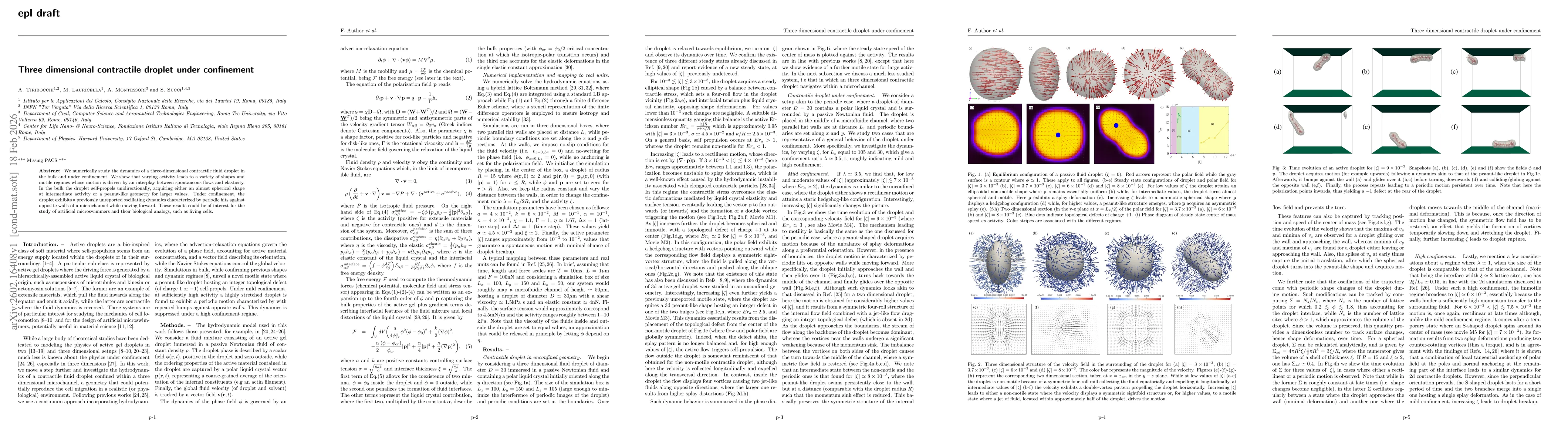 Thumbnail for Three dimensional contractile droplet under confinement