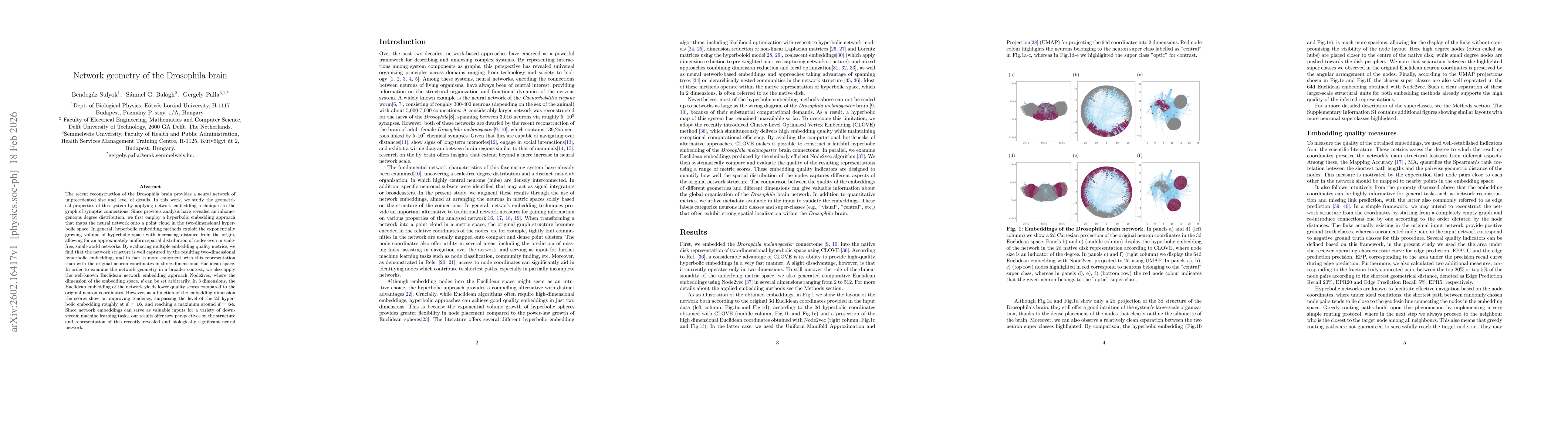 Thumbnail for Network geometry of the Drosophila brain