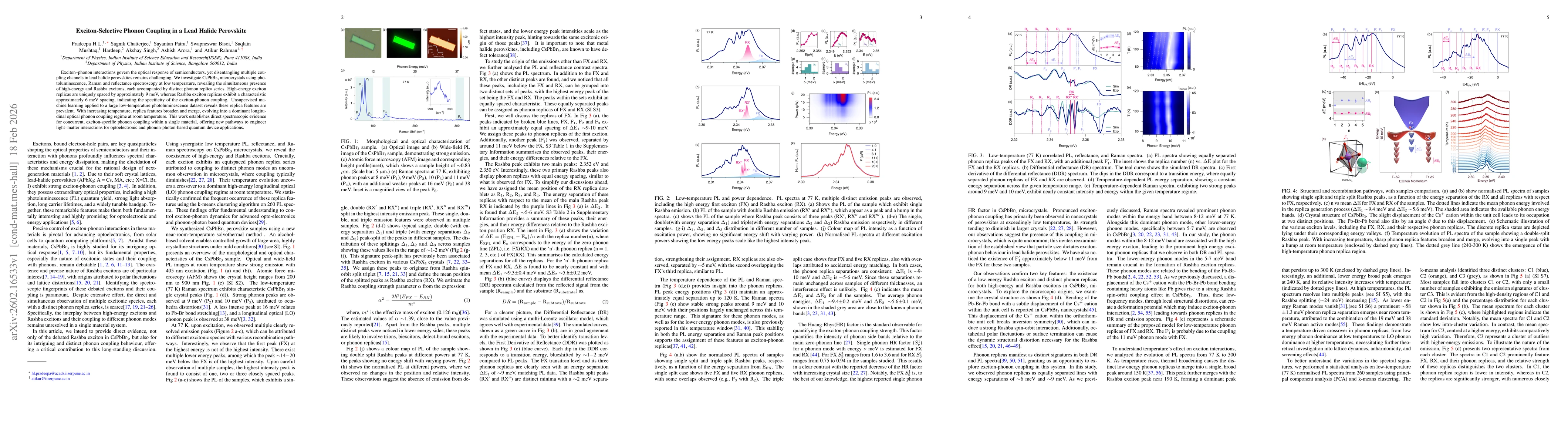 Thumbnail for Exciton-Selective Phonon Coupling in a Lead Halide Perovskite