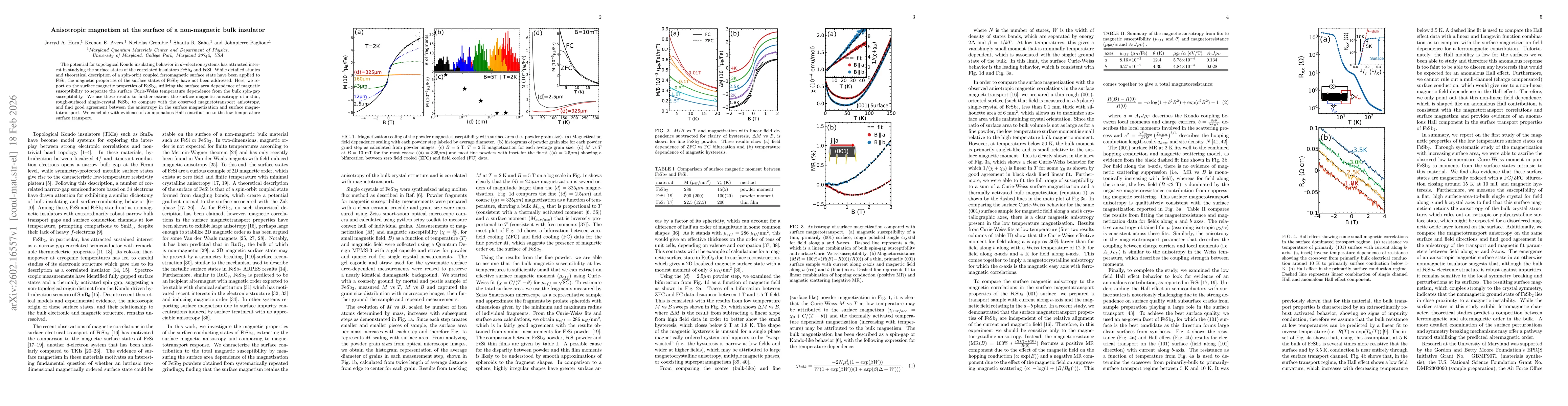 Thumbnail for Anisotropic magnetism at the surface of a non-magnetic bulk insulator