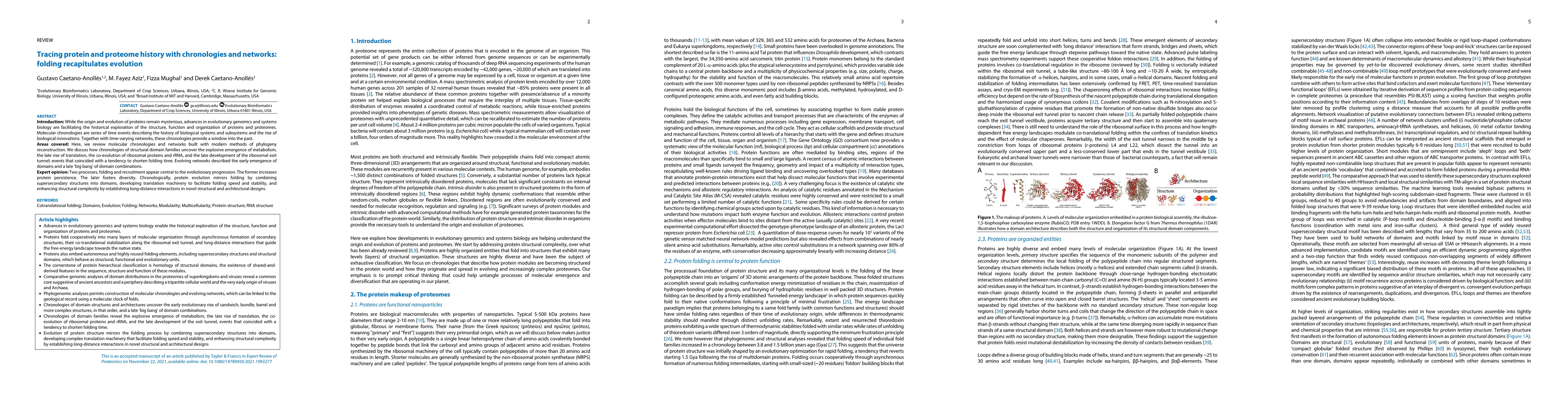Thumbnail for Tracing protein and proteome history with chronologies and networks: folding recapitulates evolution