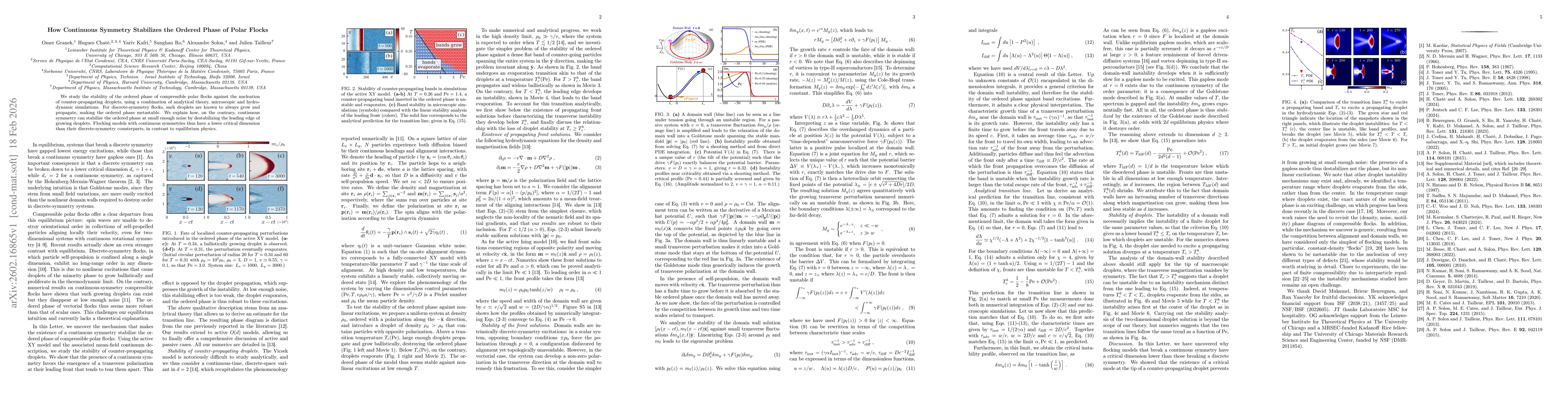 Thumbnail for How Continuous Symmetry Stabilizes the Ordered Phase of Polar Flocks