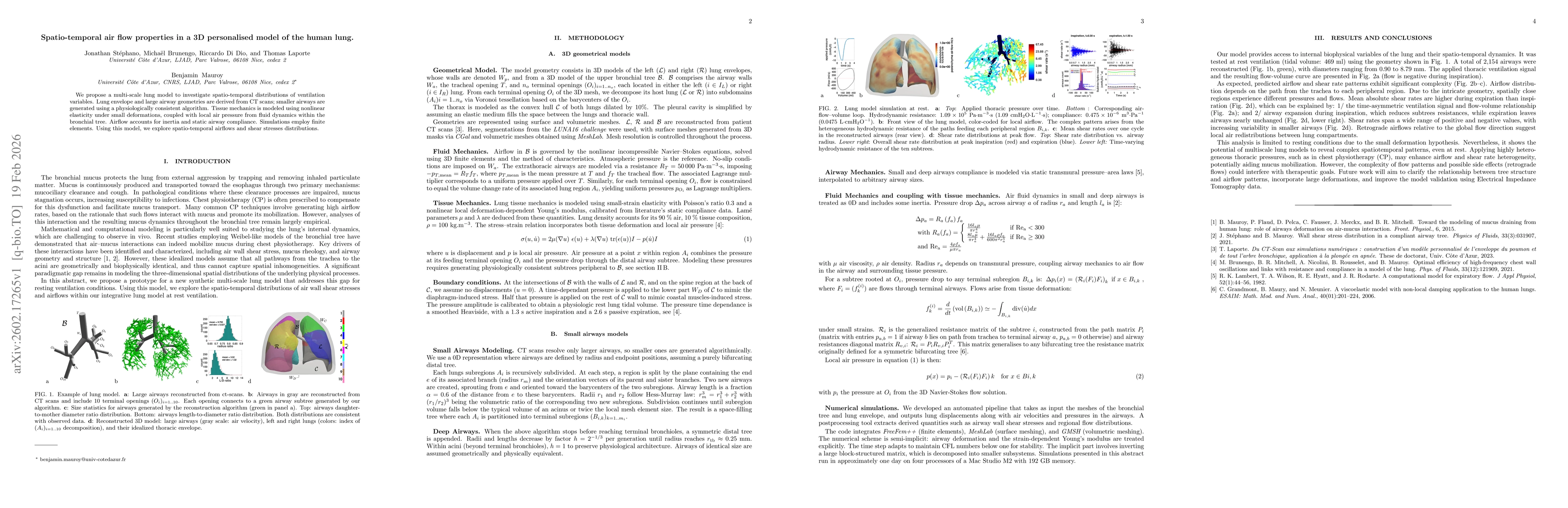 Thumbnail for Spatio-temporal air flow properties in a 3D personalised model of the human lung