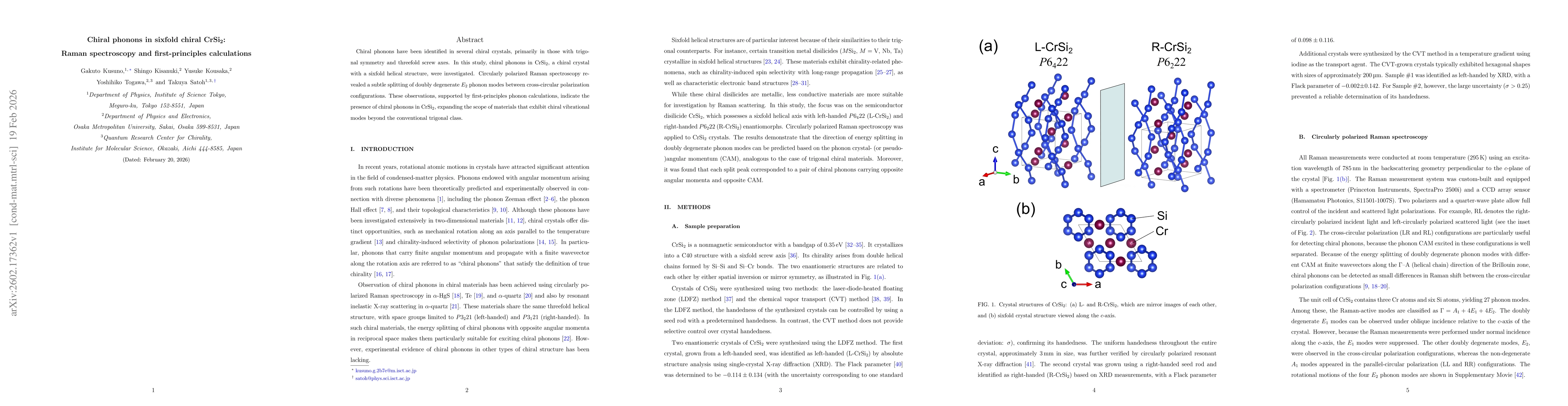 Thumbnail for Chiral phonons in sixfold chiral CrSi$_2$: Raman spectroscopy and first-principles calculations