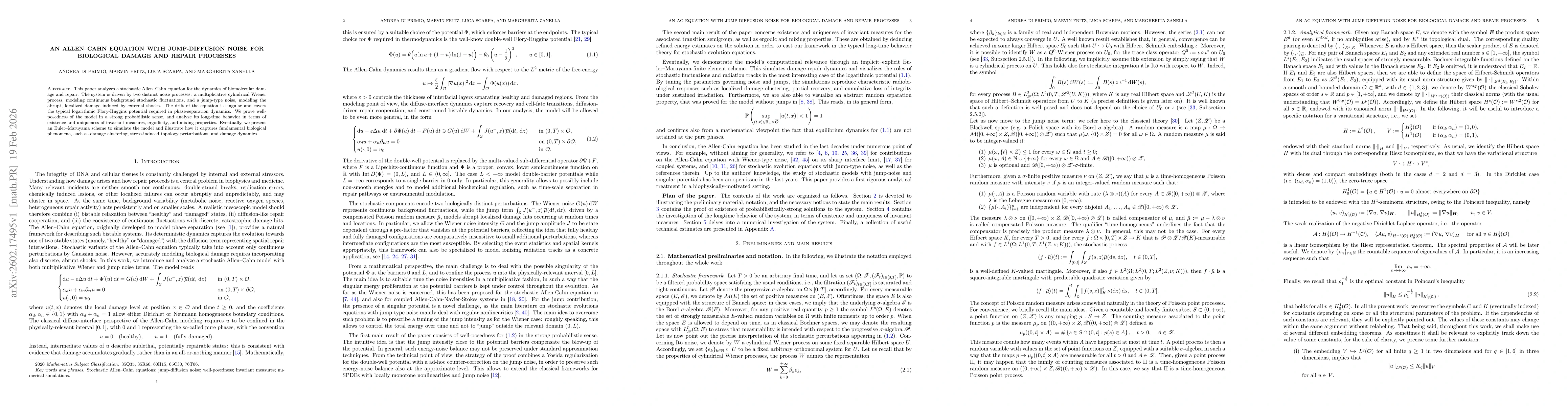Thumbnail for An Allen-Cahn equation with jump-diffusion noise for biological damage and repair processes