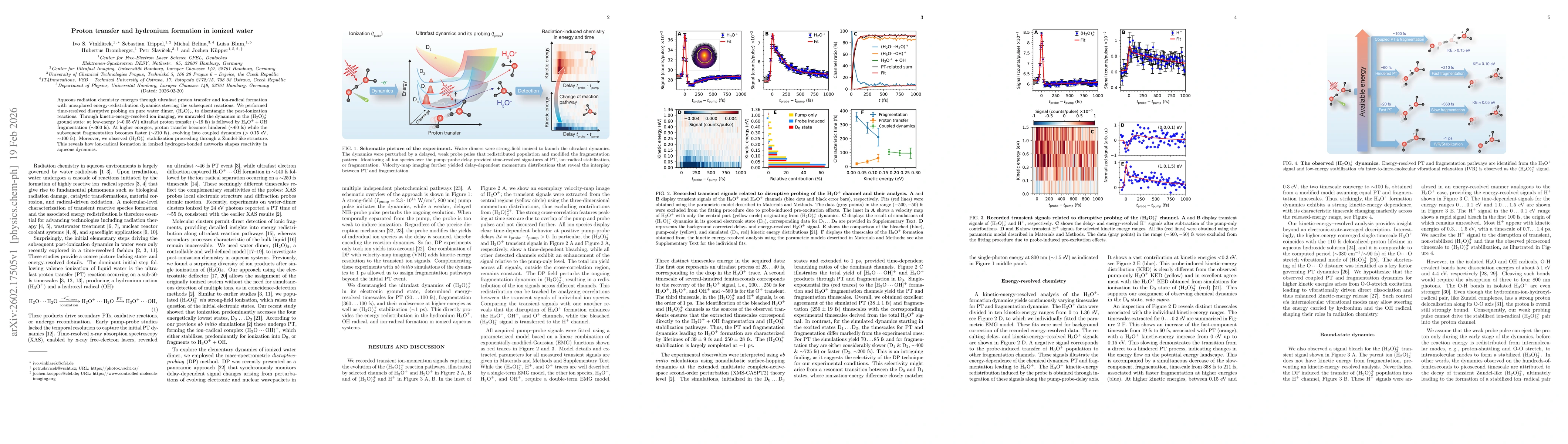 Thumbnail for Proton transfer and hydronium formation in ionized water