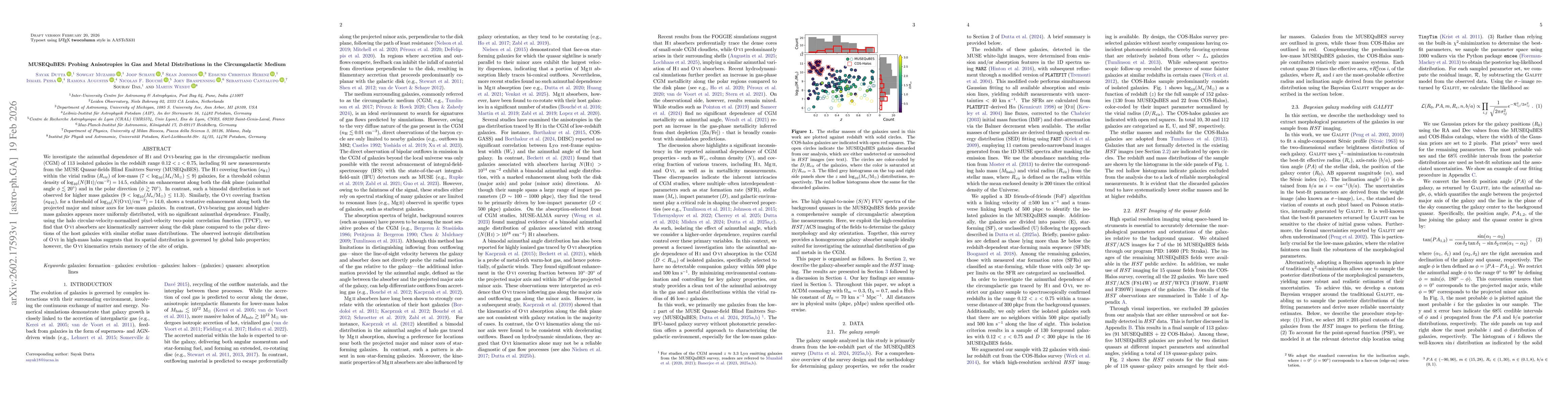 Thumbnail for MUSEQuBES: Probing Anisotropies in Gas and Metal Distributions in the Circumgalactic Medium