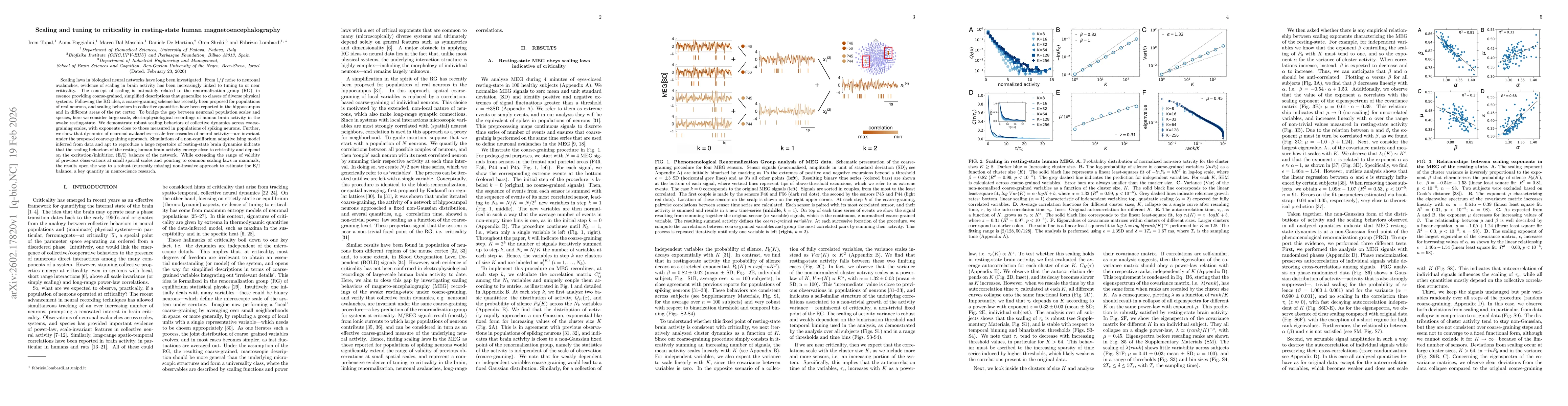 Thumbnail for Scaling and tuning to criticality in resting-state human magnetoencephalography