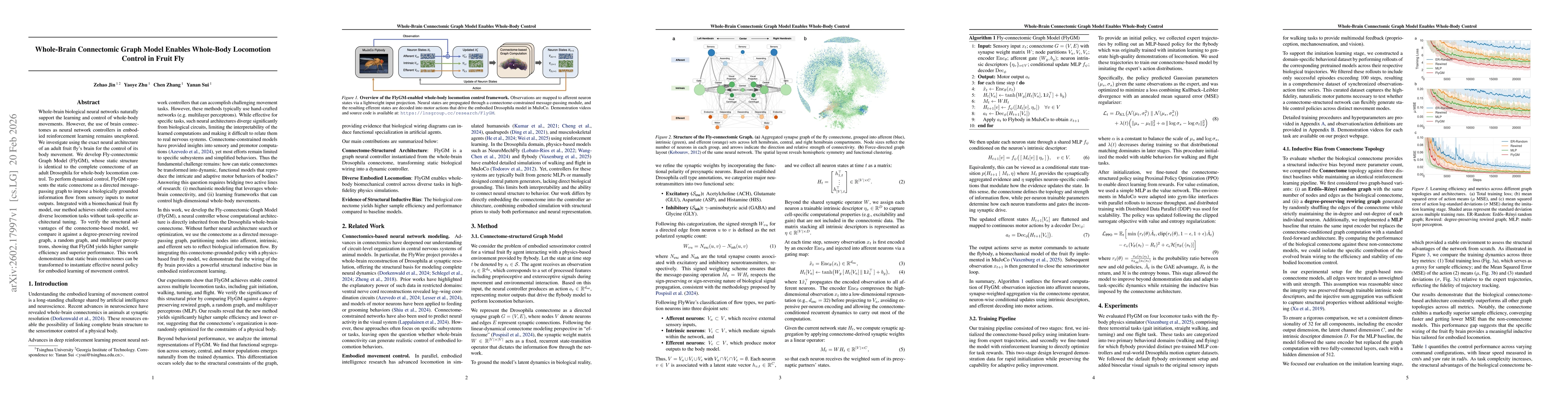 Thumbnail for Whole-Brain Connectomic Graph Model Enables Whole-Body Locomotion Control in Fruit Fly