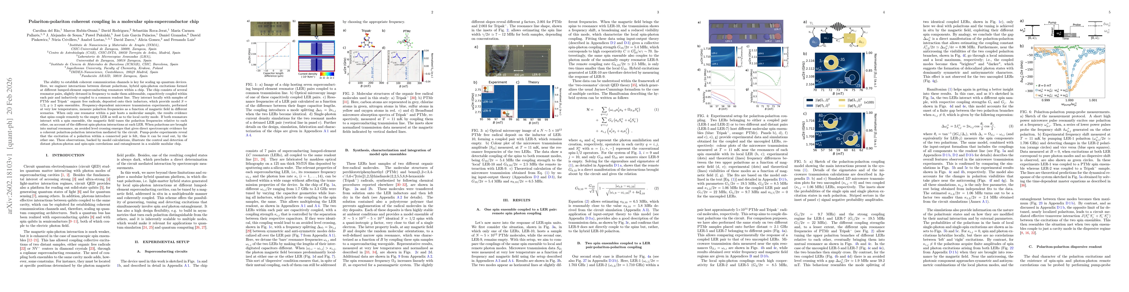 Thumbnail for Polariton-polariton coherent coupling in a molecular spin-superconductor chip
