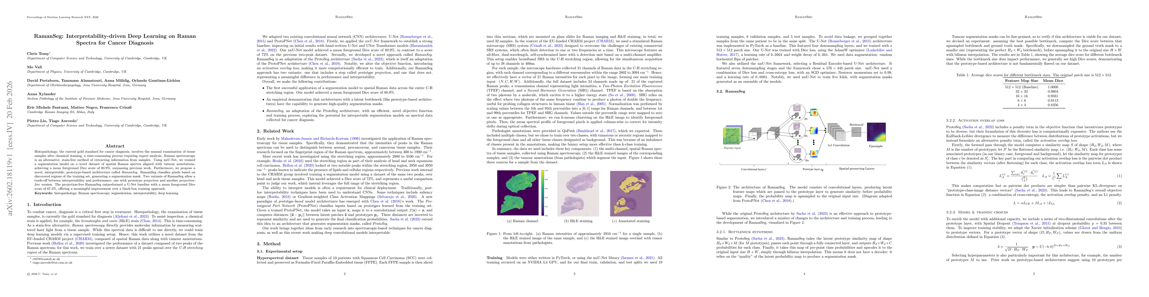 Thumbnail for RamanSeg: Interpretability-driven Deep Learning on Raman Spectra for Cancer Diagnosis
